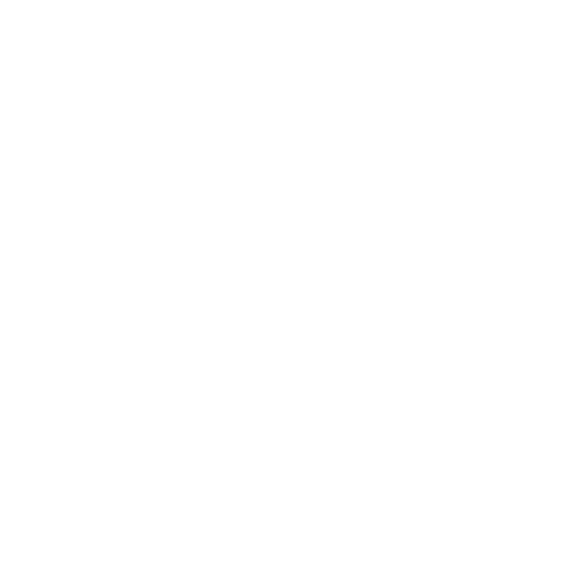 Home 11 shield